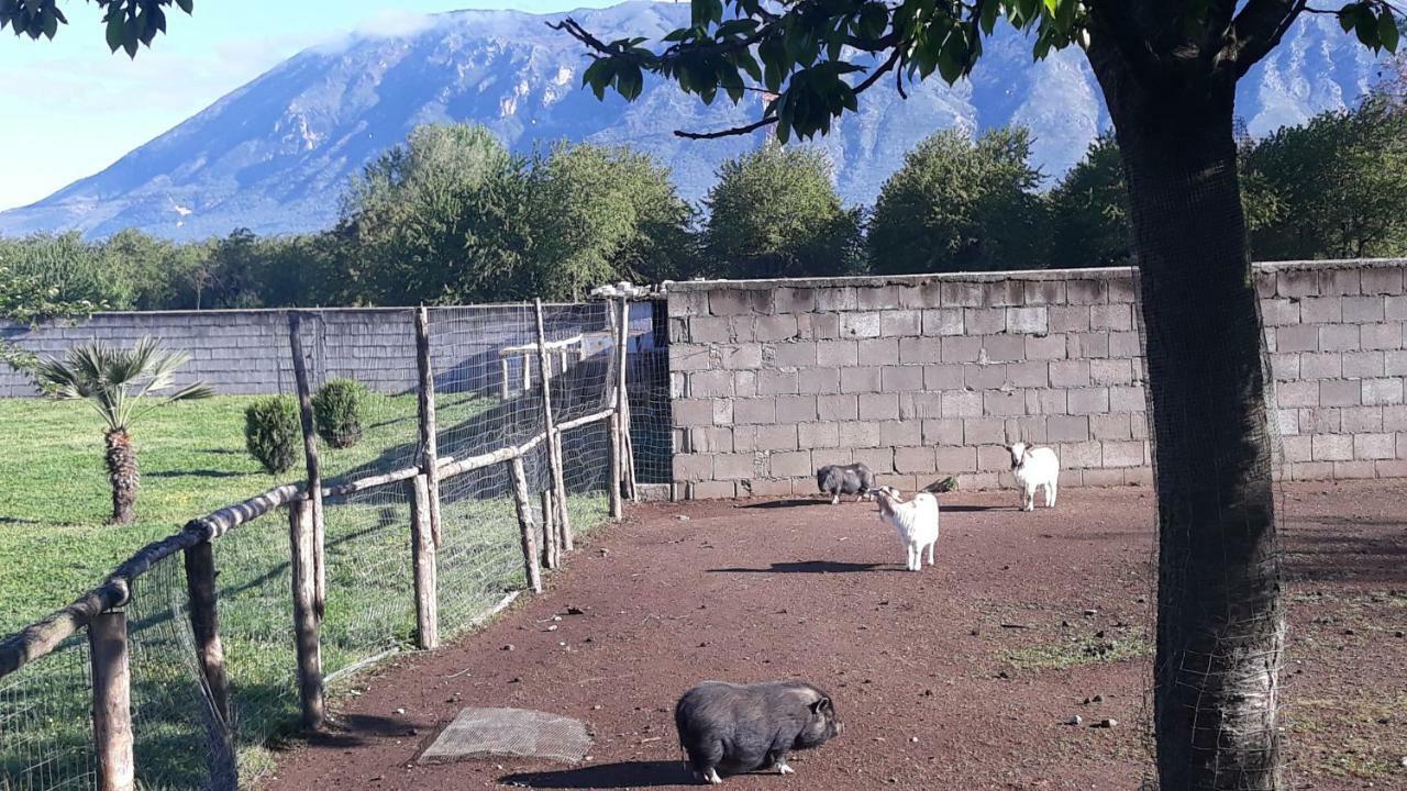 Готель Agriturismo Carlo Cioffi Rotondi Екстер'єр фото